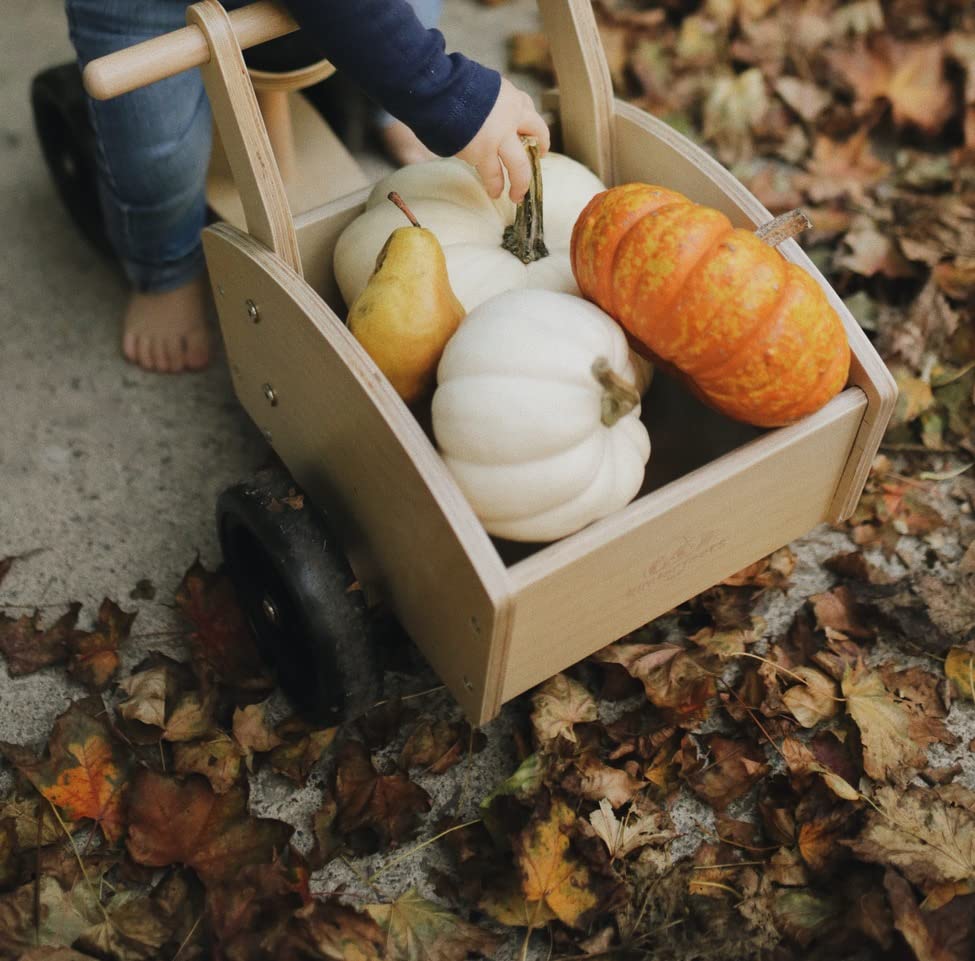 Amazon.co.jp: Kinderfeets カーゴバイク 子供用 木製 4輪 プッシュ